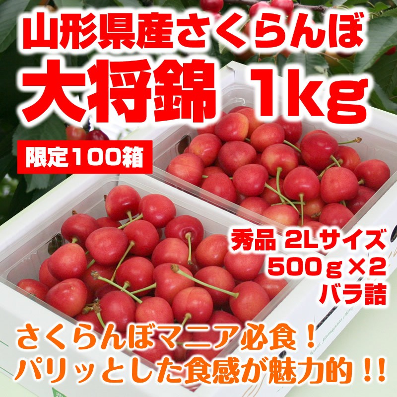 送料無料】予約 6月中下旬発送予定 ギフト さくらんぼ 大将錦 山形県産