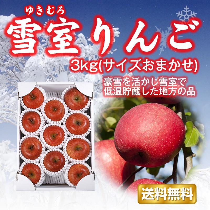 長野県産雪室熟成りんご　約20kg 楽天市場】【ふるさと納税】028-029《先行受付》【2026年2月発送