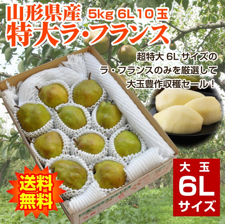 ギフト ラ・フランス 送料無料 洋梨 山形県産 5kg（10玉入） 特大 6L
