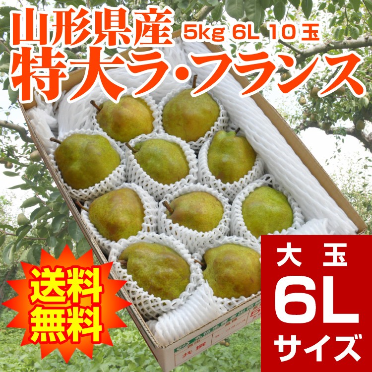 ギフト ラ・フランス 送料無料 洋梨 山形県産 5kg（10玉入） 特大 6L