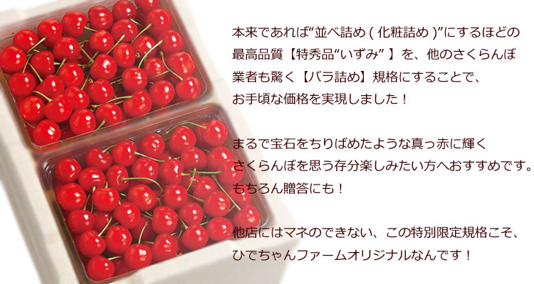 佐藤錦いずみ2
