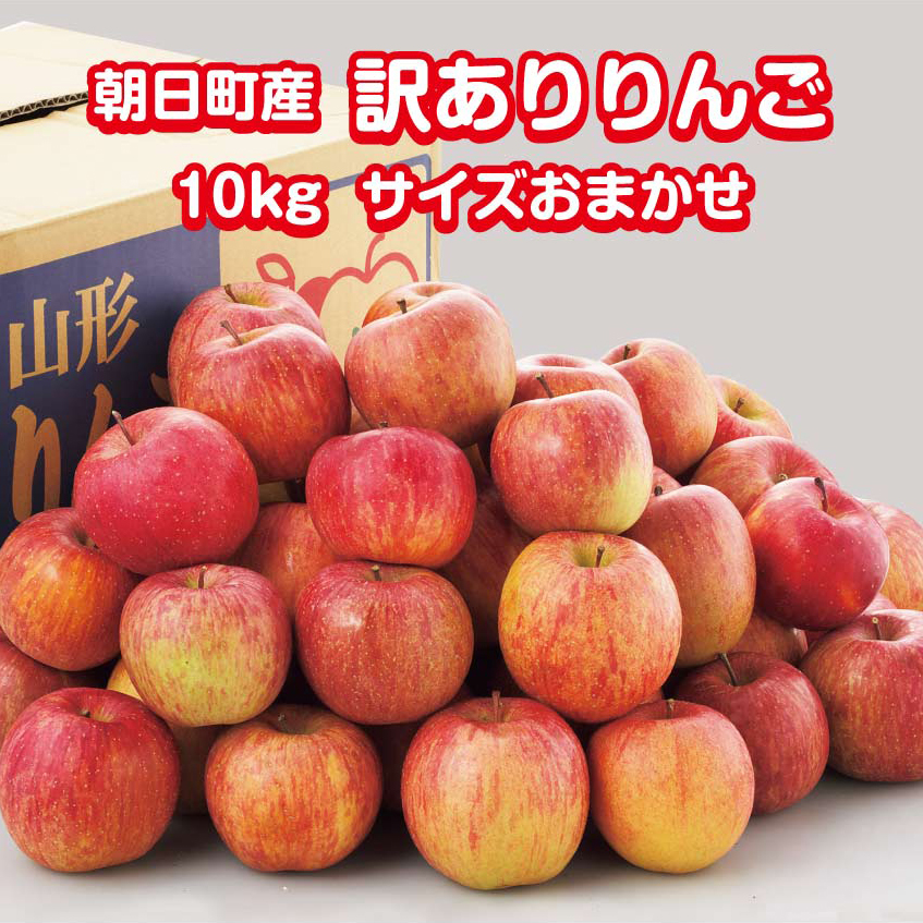 りんご 送料無料 訳アリ 山形県 朝日町産 約10kg サイズおまかせ