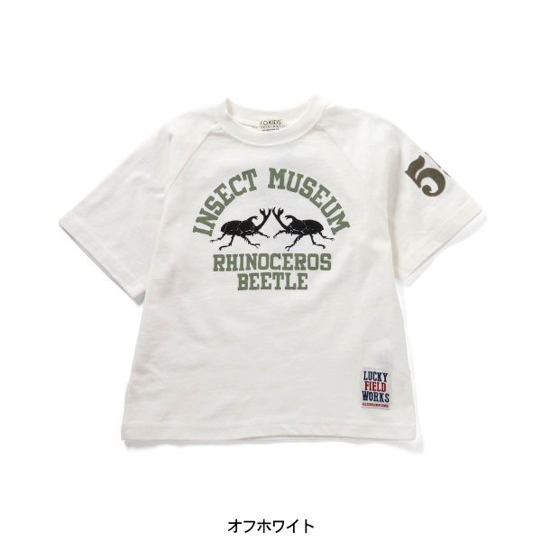 INSECT MUSEUM Tシャツ キッズ ベビー トップス 半袖Tシャツ インセクト 昆虫 プリント F.O.KIDS 4026448 R207134-14mmm メール便可｜marumiya-world｜02