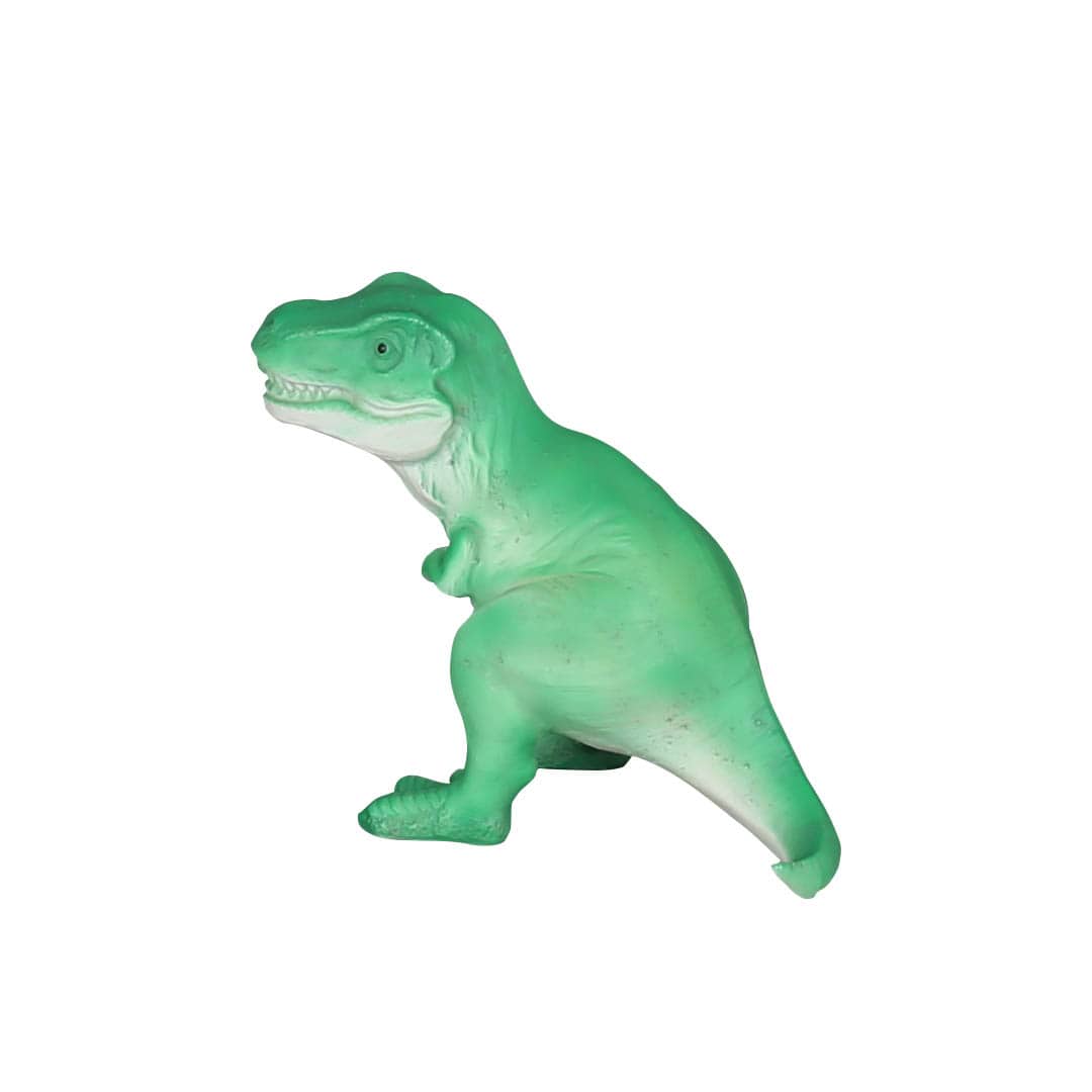 DULTON ダルトン LED DINOLIGHT ダイナライト 恐竜 T-REX T
