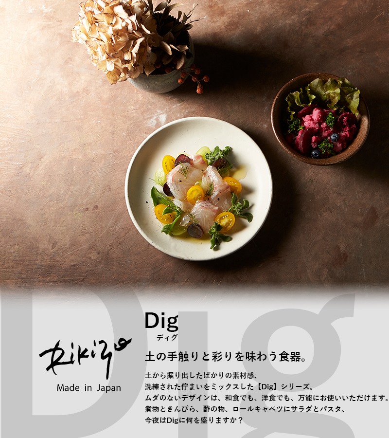 Rikizo カレー皿 お皿 食器 パスタプレート パスタ皿 ワンプレート 深