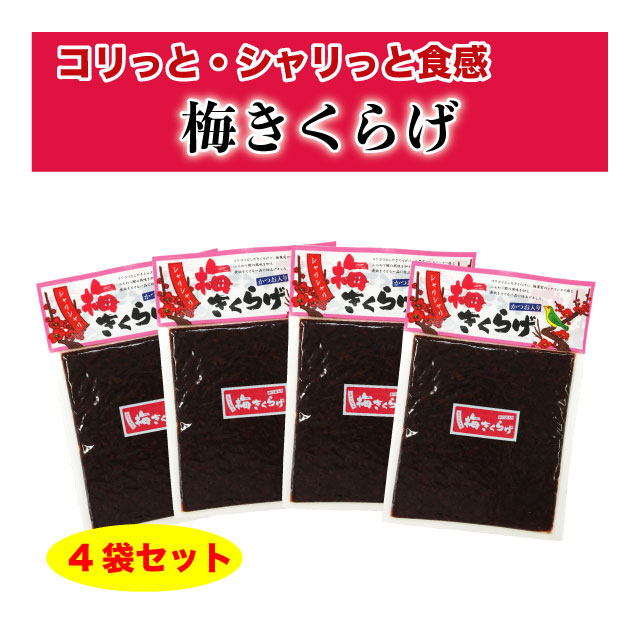 梅きくらげ ご飯のお供 佃煮 760g (190g×4袋) 梅果実 かつお節入り 送料無料 ポイント消化  :HG-2107-M-K-010:マルサ海藻Yahoo!店 - 通販 - Yahoo!ショッピング