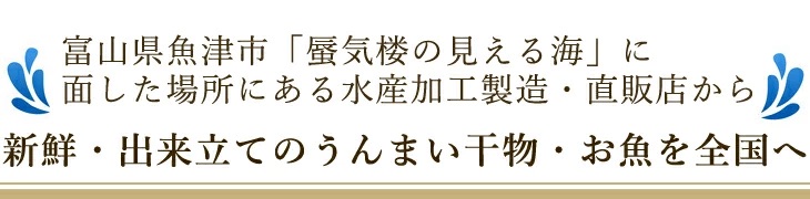 富山県魚津市蜃気楼の見える海に面した場所にある水産加工製造・直販店から