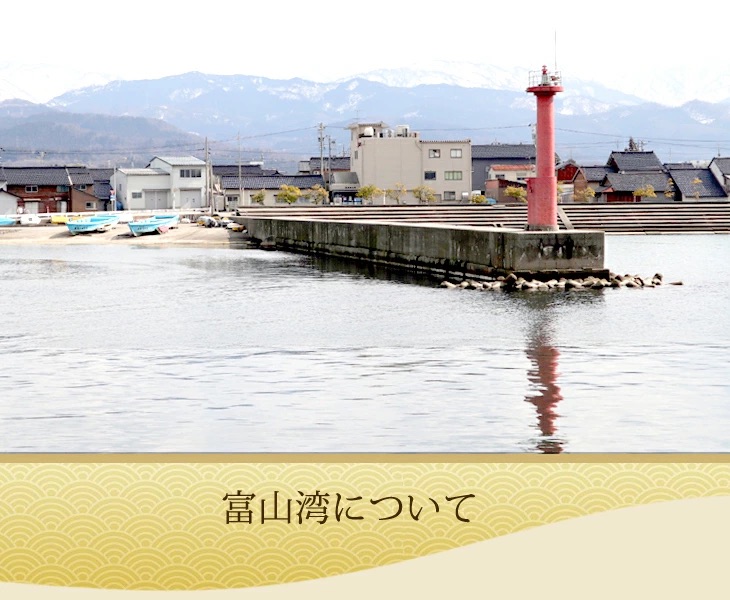 富山湾について