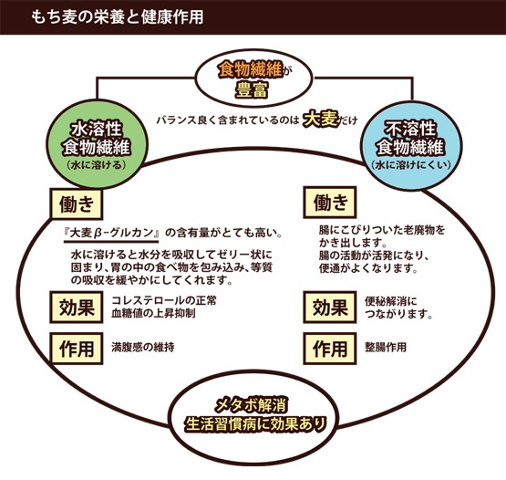 もち大麦粉説明-2