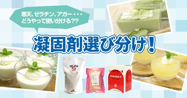 凝固剤特集