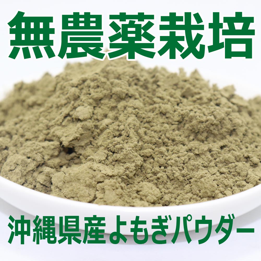 琉球ヨモギパウダー50ｇ×6袋 ヨモギ茶 国産 フーチバー 沖縄県産 無