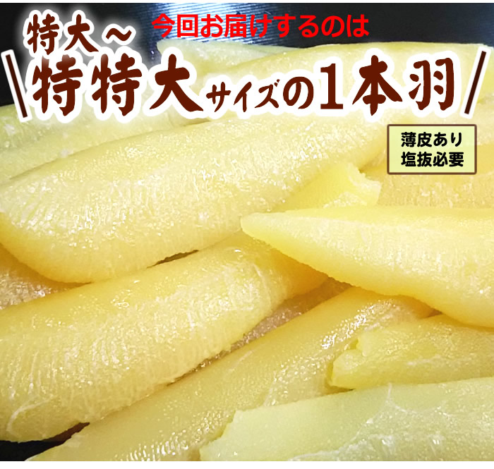 ☆2022新物入荷 特大〜特特大！パリッパリ！ゴールド特大サイズ 塩数の子1kg（薄皮有り） :za099:神戸中央卸売市場 マルサ財木 - 通販 -  Yahoo!ショッピング