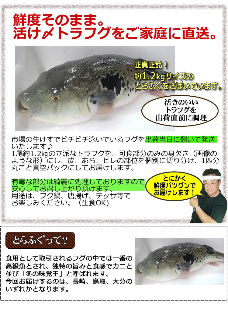 送料無料 刺身OK！活〆とらふぐ丸ごと1尾 身欠き（原魚1尾約1.2kg