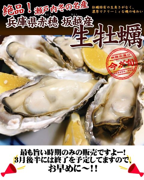 送料無料 名産 兵庫県 赤穂坂越産 あこうさこし の生牡蠣セット 内容 殻付き牡蠣2kg Zah17 神戸中央卸売市場 マルサ財木 通販 Yahoo ショッピング