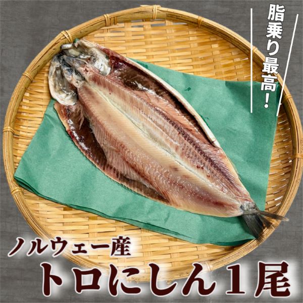 【脂乗り抜群】ノルウェー産 トロニシン1尾(1尾約30cm )(ニシン 鰊 干物) : 神戸中央卸売市場 マルサ財木 - 通販 - Yahoo!ショッピング