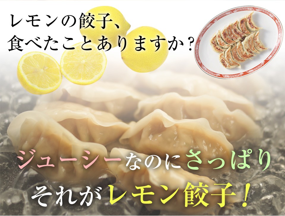 元祖塩で食べるレモン餃子 1パック10個入り（岩塩付き） : lemon-001