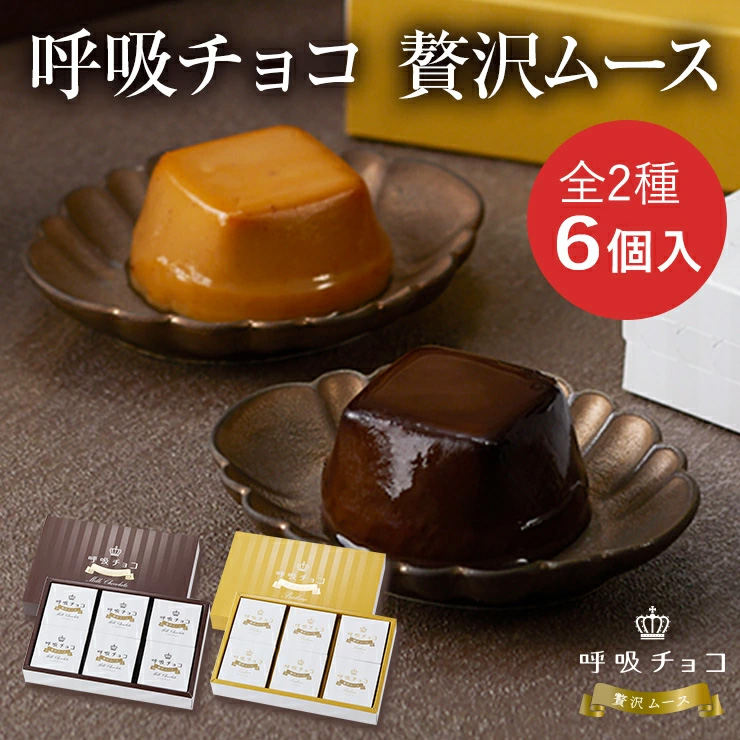 呼吸チョコ贅沢ムース全2種6個入り