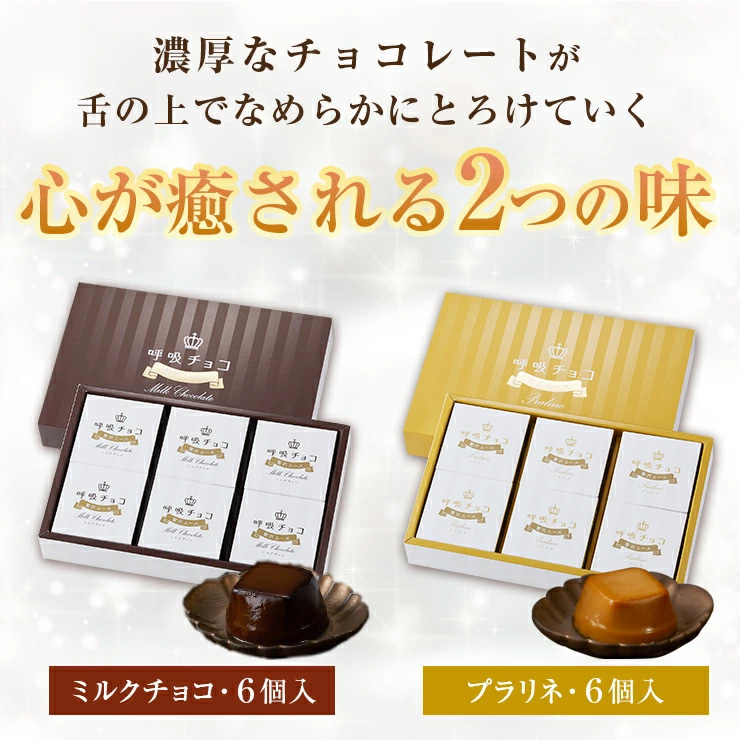 濃厚なチョコレートが舌の上でなめらかにとろけていく心が癒される2つの味