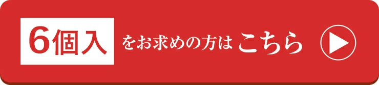 6個入をお求めの方はこちら