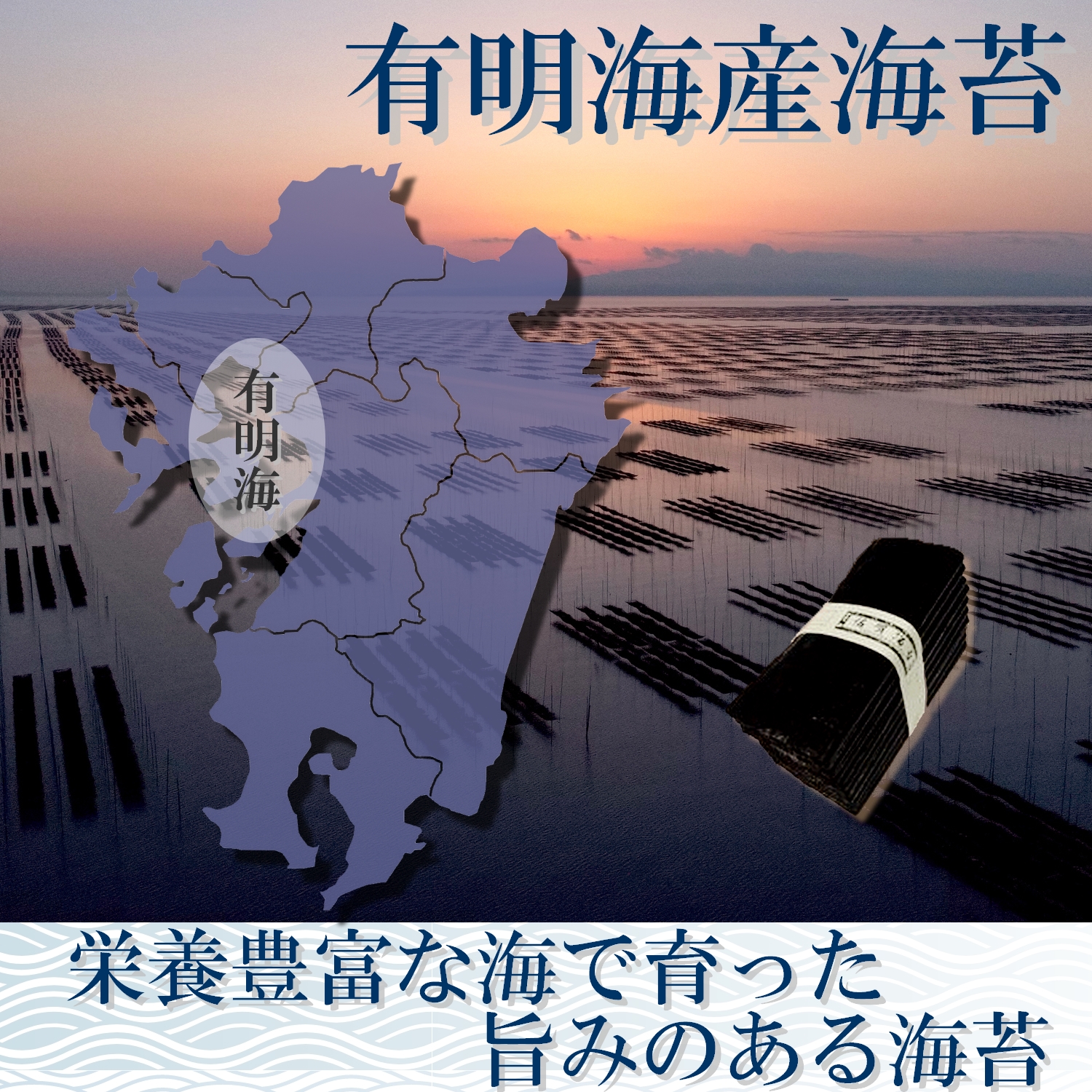 ariakekaip4.jpg