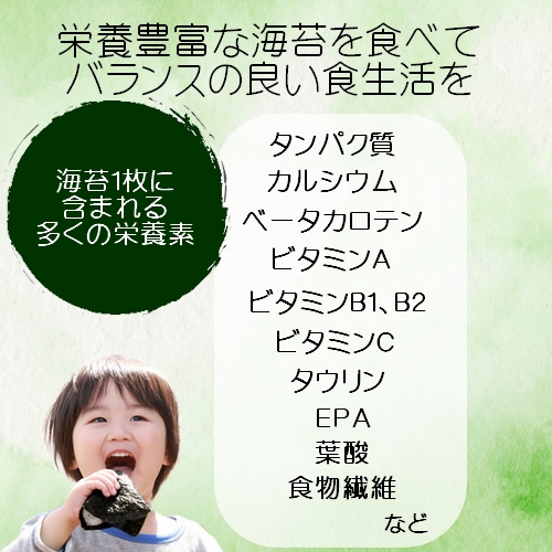 きざみのりさま専用 マルサンのり 【送料無料】きざみのり 60グラム（20グラム入