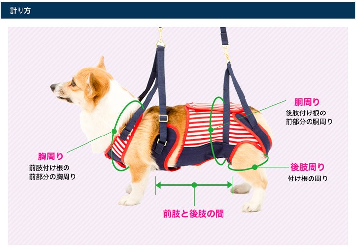 介護用・歩行補助ハーネス コーギー用 セーラーマリン[赤×紺] ララウォーク