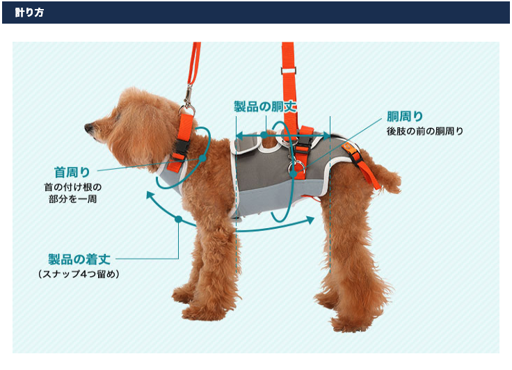 介護用・歩行補助ハーネス 小型犬・ダックス用 グレー×オレンジ ララウォーク