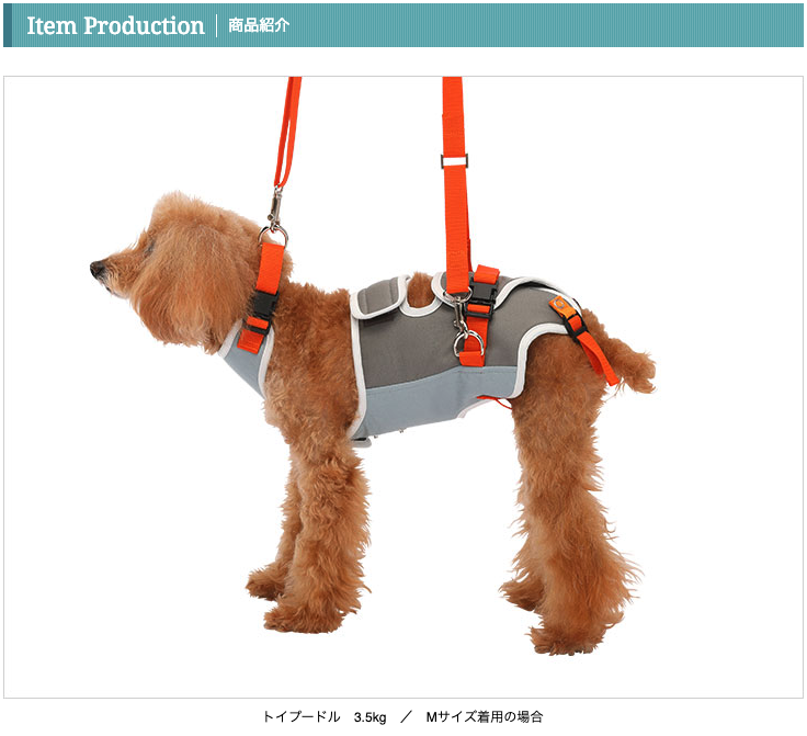 介護用・歩行補助ハーネス 小型犬・ダックス用 グレー×オレンジ ララウォーク