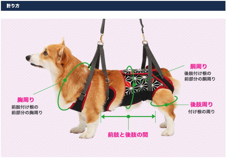 介護用・歩行補助ハーネス コーギー用 カブキ ララウォーク