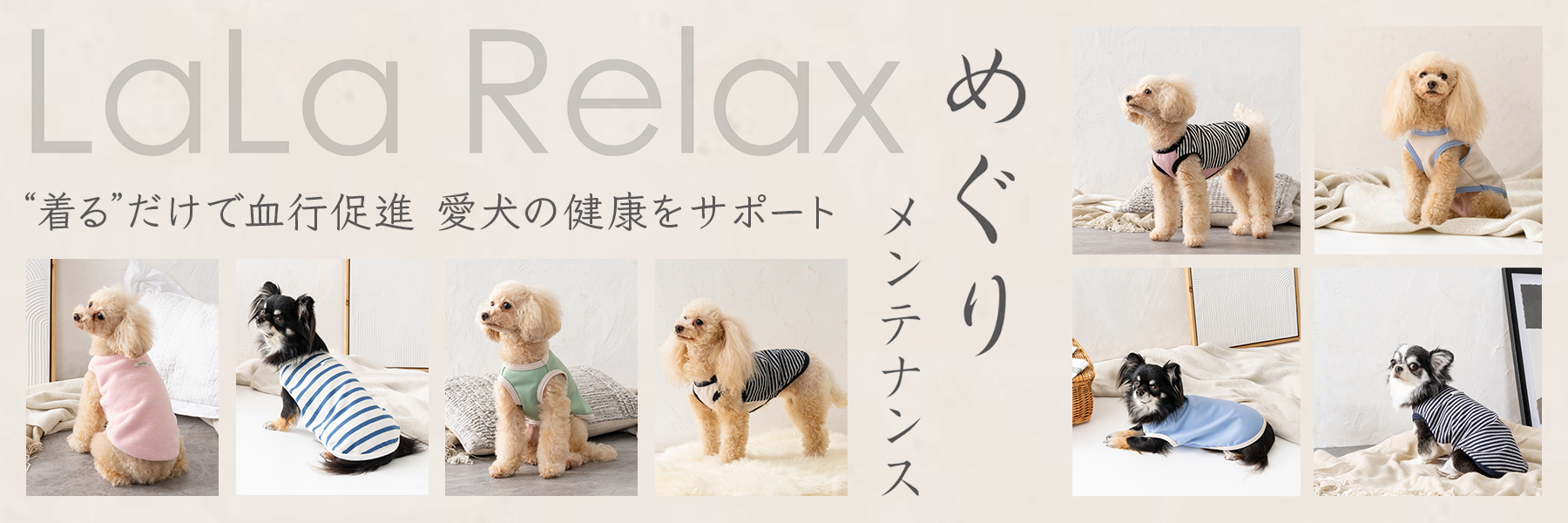 着るだけで血行促進 愛犬の健康をサポート LaLa Relax めぐりメンテナンス