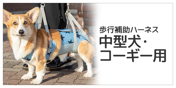 中型犬・コーギー用 介護用・歩行補助ハーネス