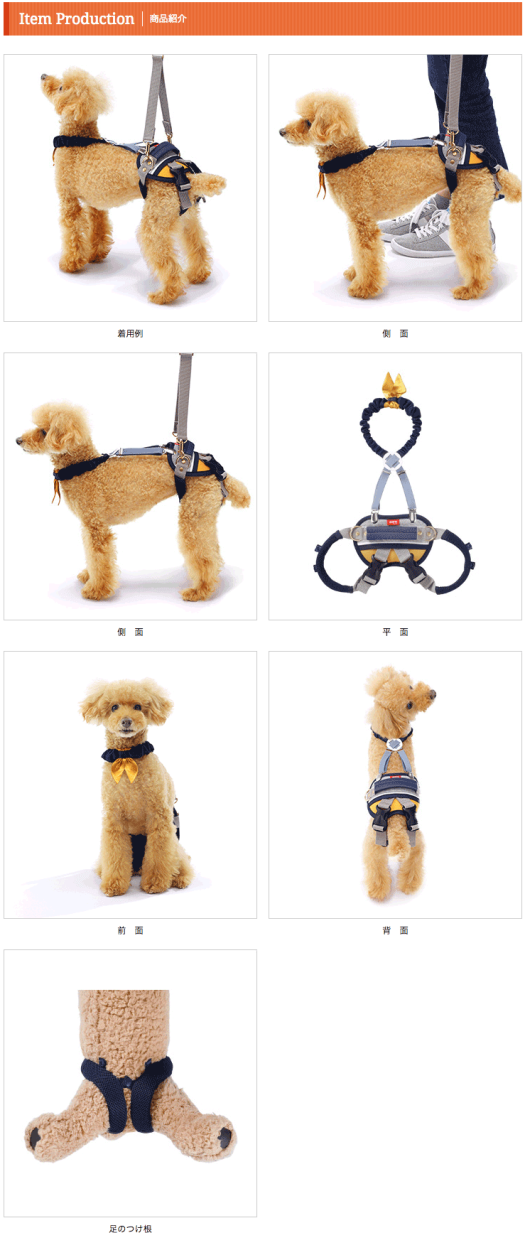 ララウォーク ホールド ボーダーマスタード 小型犬用 介護用・歩行補助ハーネス :2te0101-85:犬の服とペット用品 marutomame -  通販 - Yahoo!ショッピング