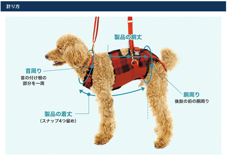 介護用・歩行補助ハーネス 小型犬・ダックス用 赤チェック ララウォーク