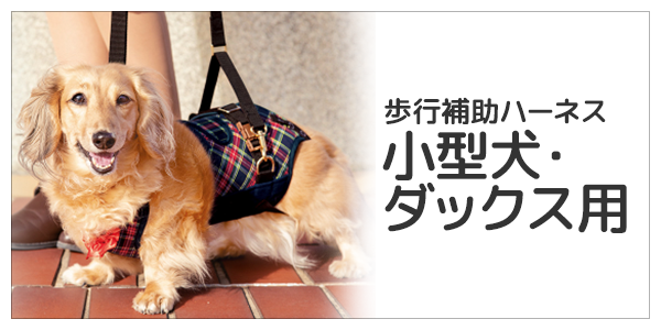 小型犬・ダックス用 介護用・歩行補助ハーネス