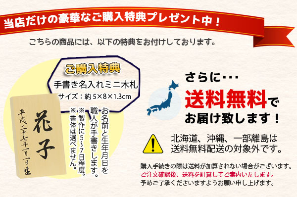 羽子板 お祝い 初正月 9号 壁掛け 額飾り 愛 姫振袖 道成寺 金彩押絵