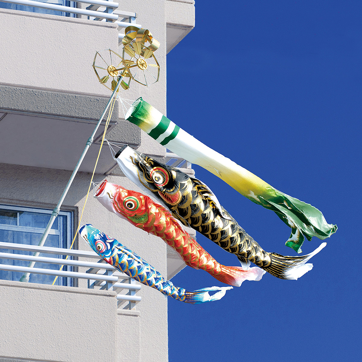 ダイヤ鯉のぼり 鯉のぼり ベランダ用 凛風 1.5m 6点 ネオビルダー