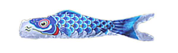 青鯉の画像