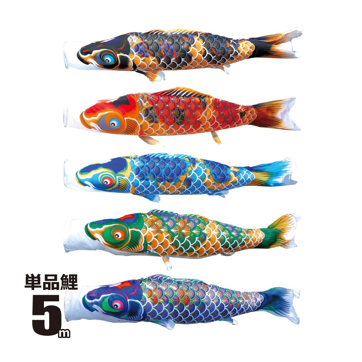 5m こいのぼり 単品 鯉のぼりの人気商品・通販・価格比較 - 価格.com