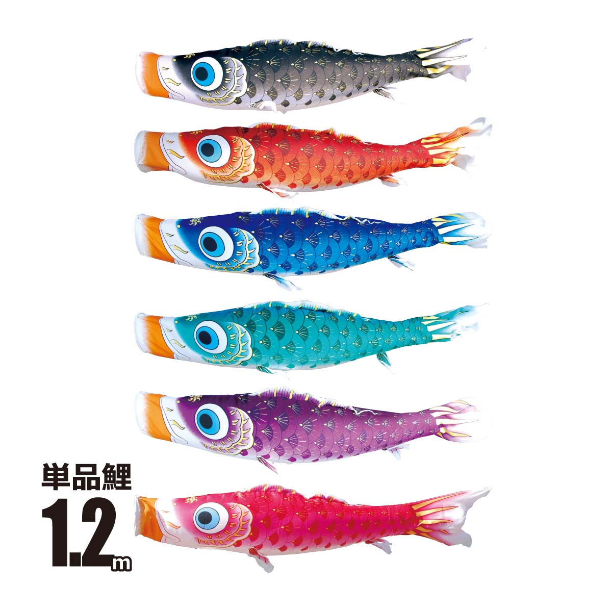 ̂ڂ Pi ͂邩 1.2m t |GXe  H îڂ KOT-T-001-640