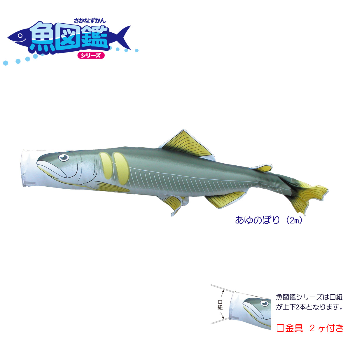 魚図鑑シリーズ のぼり水族館 あゆのぼり 2m 口金具付き ポリエステル  徳永鯉のぼり KOT-T-152-712｜marutomi-a