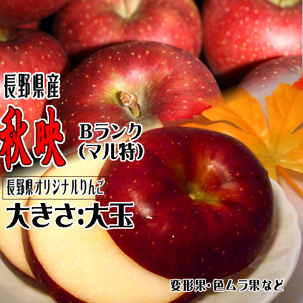 ギフト りんご 秋映 Bランク マル特 約 3kg 8玉〜11玉 長野県産 リンゴ フ  ルーツ 信州 送料無料 10月上旬頃〜 長野県オリジナルりんご |  | 02