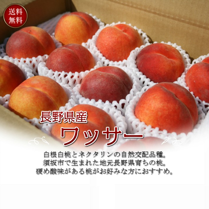 谷間長野県産　ワッサー秀品 大きサイズ4.5キロクール便2箱 Amazon.co.jp: 本場長野からお届け 長野県産 ワッサー 2kg 長野