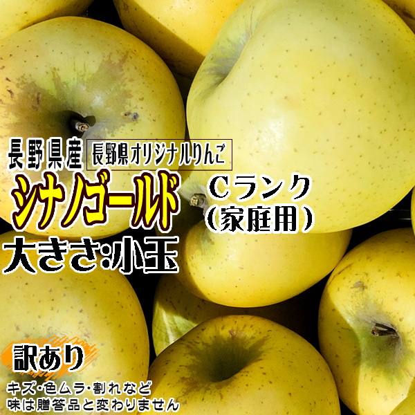 訳あり りんご シナノゴールド 約10kg Cランク 家庭用 長野県産 送料無料 フルーツ リンゴ 信州 お取り寄せ