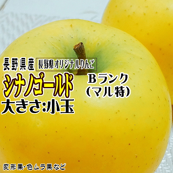 ギフト りんご シナノゴールド 約3kg Bランク マル特 8玉〜11玉 長野県産 送料無料 フルーツ リンゴ 信州 お取り寄せ  :gold-maru-3k:トミおじさんのお店 長野りんご - 通販 - Yahoo!ショッピング