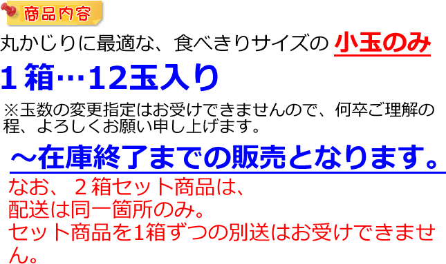 小玉セール説明2