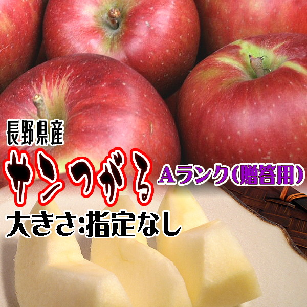 りんご サンつがる Bランク マル特 約 3kg 9玉〜11玉 長野県産 リンゴ フルーツ 信州 送料無料 ギフト 敬老の日｜marutomi-s｜02