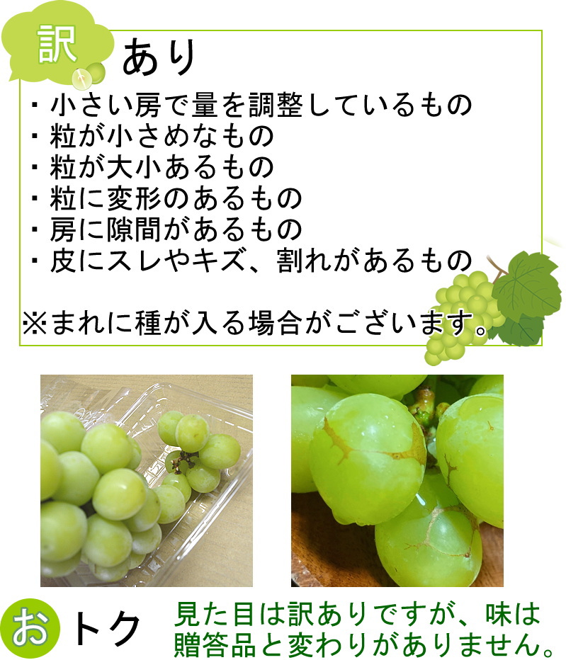 クール便配送 訳あり シャインマスカットお徳用5パック入 約1.8kg前後 送料無料 ぶどう 長野県産 皮ごと食べられます 粒ふぞろい・スレなど 家庭用 お取り寄せ