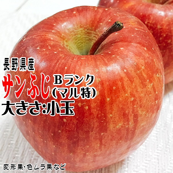 ギフト りんご サンふじ 約10kg Bランク マル特 長野県産 送料無料 フルーツ リンゴ 信州 お取り寄せ