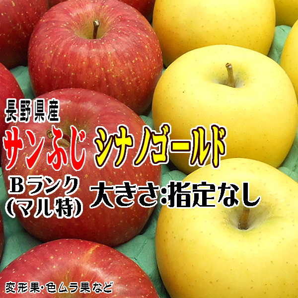 ギフト りんご サンふじ・シナノゴールド 詰合せ Bランク マル特 約3kg 長野県産 CA貯蔵 送料無料 フルーツ リンゴ お取り寄せ