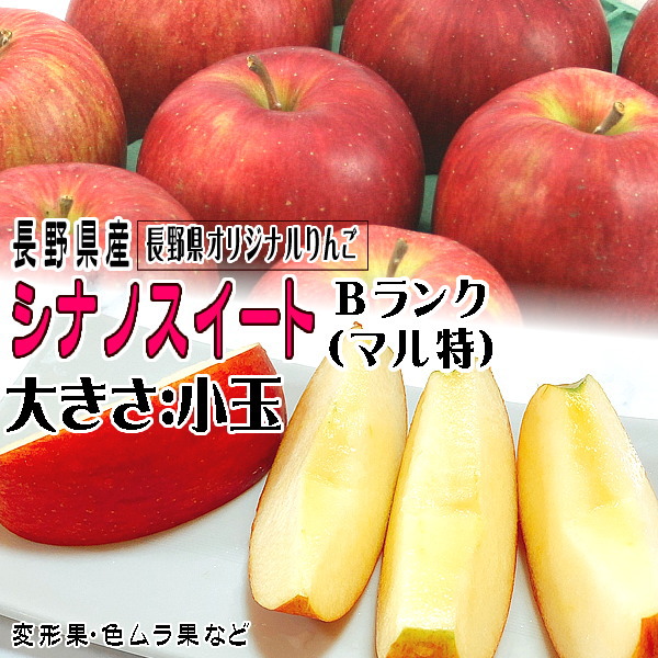 ギフト りんご シナノスイート Bランク マル特 約 3kg 長野県産 リン ゴ フルーツ 信州 送料無料 10月中旬頃〜｜marutomi-s｜05